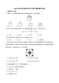 广东省深圳市深圳中学2025--2026学年上学期九年级期中考试数学试卷