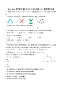 2025-2026学年浙江省台州市玉环市九年级（上）期中数学试卷