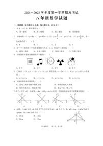 安徽省池州市青阳县2024-2025学年八年级上学期期末考试数学试题