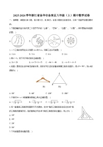 2025-2026学年浙江省金华市金东区八年级（上）期中数学试卷