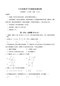 人教版2024初中数学七下期末质量检测卷-【无答案】