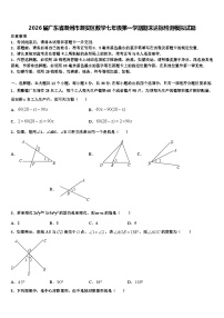 2026届广东省潮州市潮安区数学七年级第一学期期末达标检测模拟试题含解析