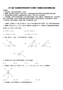 2026届广东省潮州市潮安区数学七年级第一学期期末达标检测模拟试题含解析