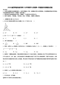 2026届甘肃省武威市第十七中学数学七年级第一学期期末经典模拟试题含解析