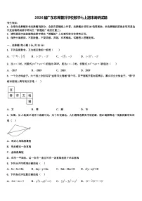 2026届广东东莞智升学校数学七上期末调研试题含解析