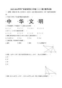 2025-2026学年广东省东莞市八年级（上）期中数学试卷-自定义类型