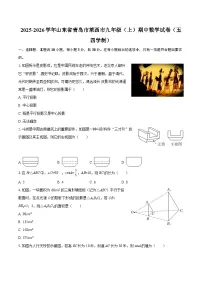 2025-2026学年山东省青岛市莱西市九年级（上）期中数学试卷（五四学制）-自定义类型