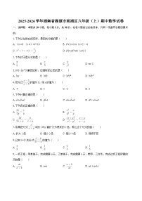 2025-2026学年湖南省湘潭市雨湖区八年级（上）期中数学试卷-自定义类型