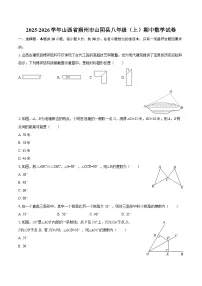 2025-2026学年山西省朔州市山阴县八年级（上）期中数学试卷-自定义类型