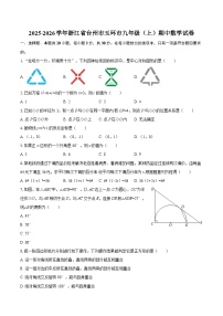 2025-2026学年浙江省台州市玉环市九年级（上）期中数学试卷-自定义类型