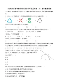 2025-2026学年浙江省台州市玉环市九年级（上）期中数学试卷-自定义类型