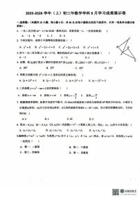 福建省厦门金鸡亭中学2025-2026学年上学期9月月考九年级数学试题