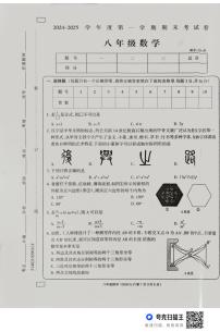河南省周口市鹿邑县2024-2025学年上学期八年级上学期期末数学试卷