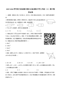 2025-2026学年四川省成都市锦江区盐道街中学九年级（上）期中数学试卷