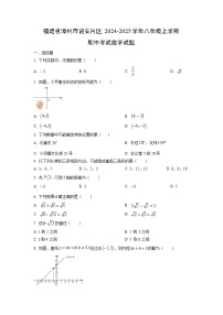 福建省漳州市诏安片区2024-2025学年八年级上学期期中考试数学试卷（学生版）