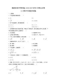 福建省漳州市芗城区2024-2025学年八年级上学期11月期中考试数学试卷（学生版）
