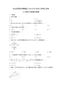 河北省邢台市襄都区2024-2025学年八年级上学期11月期中考试数学试卷（学生版）