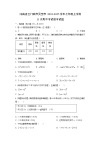 河南省三门峡市灵宝市2024-2025学年七年级上学期11月期中考试数学试卷（学生版）
