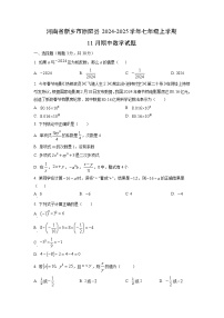 河南省新乡市原阳县2024-2025学年七年级上学期11月期中数学试卷（学生版）