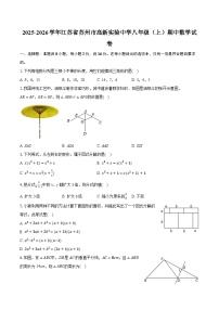 2025-2026学年江苏省苏州市高新实验中学八年级（上）期中数学试卷