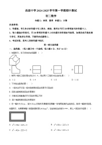 精品解析：广东省深圳市深圳高级中学2024-2025学年九年级上学期期中考试数学试卷含答案