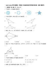 2025-2026学年八年级上学期期中考试数学试卷（含解析）