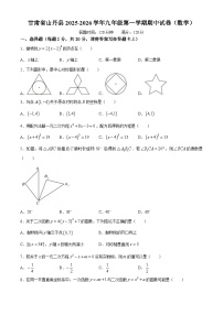 甘肃省张掖市山丹县2025—2026学年九年级上学期期中数学试卷 (无答案)