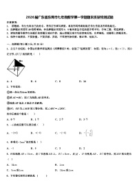2026届广东省东莞市七年级数学第一学期期末质量检测试题含解析