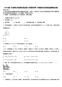 2026届广东省佛山市南海区狮山镇七年级数学第一学期期末质量跟踪监视模拟试题含解析