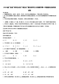 2026届广东省广州市白云区广州白云广雅实验学校七年级数学第一学期期末达标检测试题含解析