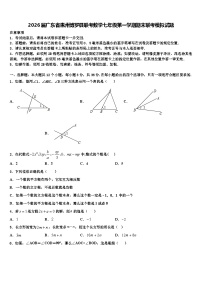2026届广东省惠州博罗县联考数学七年级第一学期期末联考模拟试题含解析