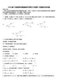 2026届广东省惠州市惠阳高级中学数学七年级第一学期期末统考试题含解析