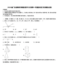 2026届广东省惠州市惠阳区数学七年级第一学期期末复习检测模拟试题含解析