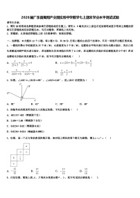 2026届广东省揭阳产业园实验中学数学七上期末学业水平测试试题含解析