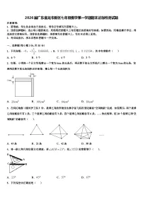 2026届广东省龙华新区七年级数学第一学期期末达标检测试题含解析
