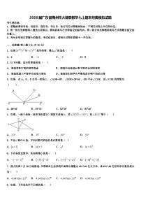 2026届广东省梅州市大埔县数学七上期末经典模拟试题含解析