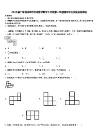 2026届广东省深圳市平湖中学数学七年级第一学期期末学业质量监测试题含解析