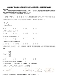 2026届广东省韶关市乳源瑶族自治县七年级数学第一学期期末联考试题含解析