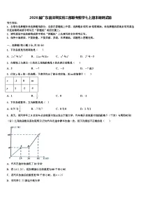 2026届广东省深圳实验三部联考数学七上期末调研试题含解析