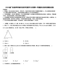 2026届广东省深圳市锦华实验学校数学七年级第一学期期末达标检测模拟试题含解析