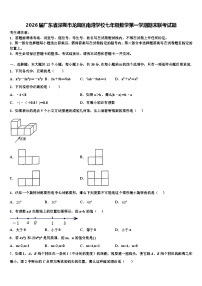 2026届广东省深圳市龙岗区南湾学校七年级数学第一学期期末联考试题含解析