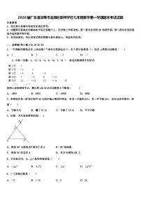 2026届广东省深圳市龙岗区新梓学校七年级数学第一学期期末考试试题含解析