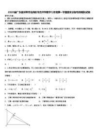 2026届广东省深圳市龙岗区布吉中学数学七年级第一学期期末达标检测模拟试题含解析