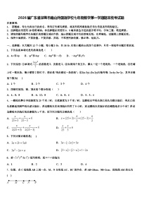 2026届广东省深圳市南山外国语学校七年级数学第一学期期末统考试题含解析