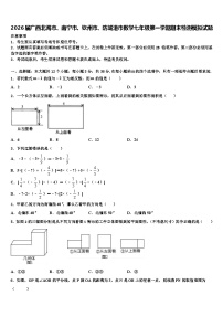 2026届广西北海市、南宁市、钦州市、防城港市数学七年级第一学期期末检测模拟试题含解析