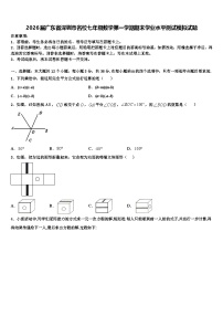 2026届广东省深圳市名校七年级数学第一学期期末学业水平测试模拟试题含解析
