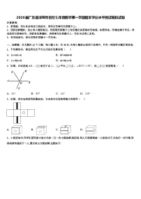 2026届广东省深圳市名校七年级数学第一学期期末学业水平测试模拟试题含解析