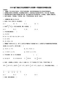 2026届广西崇左市龙州县数学七年级第一学期期末统考模拟试题含解析