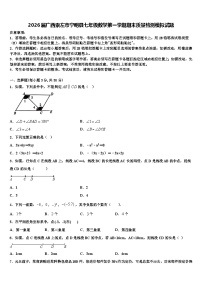 2026届广西崇左市宁明县七年级数学第一学期期末质量检测模拟试题含解析