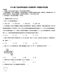 2026届广东省深圳市盐田区七年级数学第一学期期末考试试题含解析
